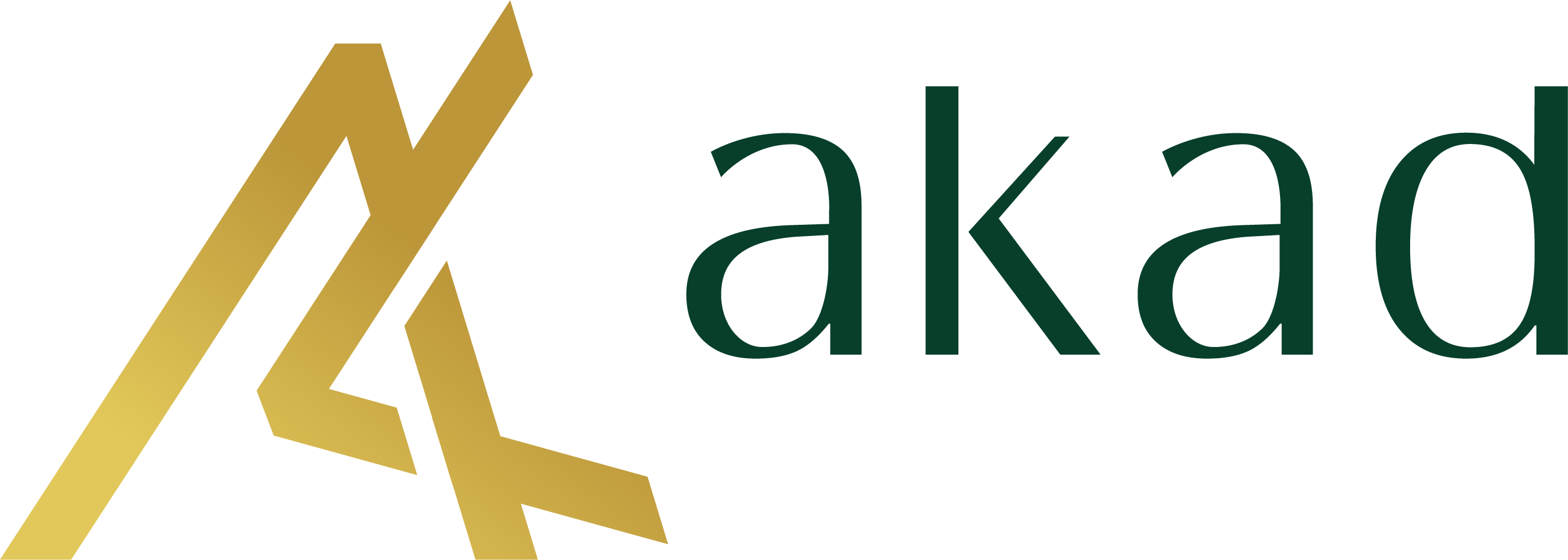 Logo PT Akad Media Cakrawala